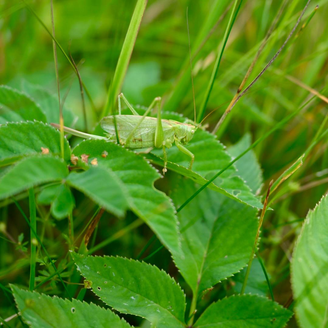 WhatsApp Image 2025-08-23 at 09.45.45