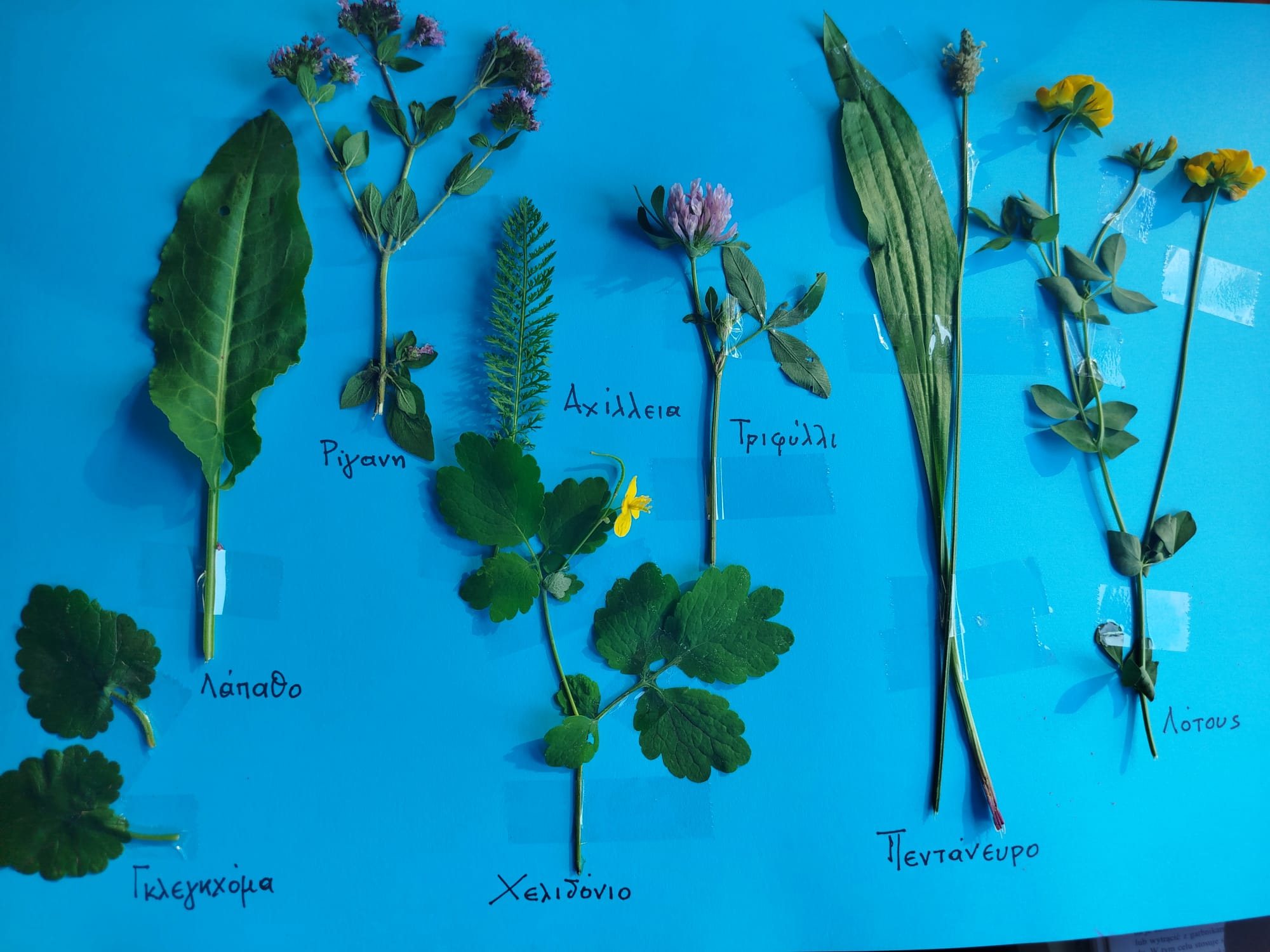 WhatsApp Image 2025-08-23 at 13.34.59 (1)